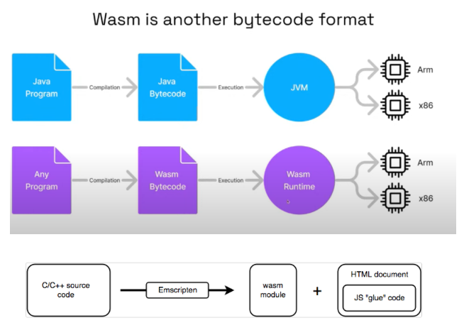 image-20250220224523697